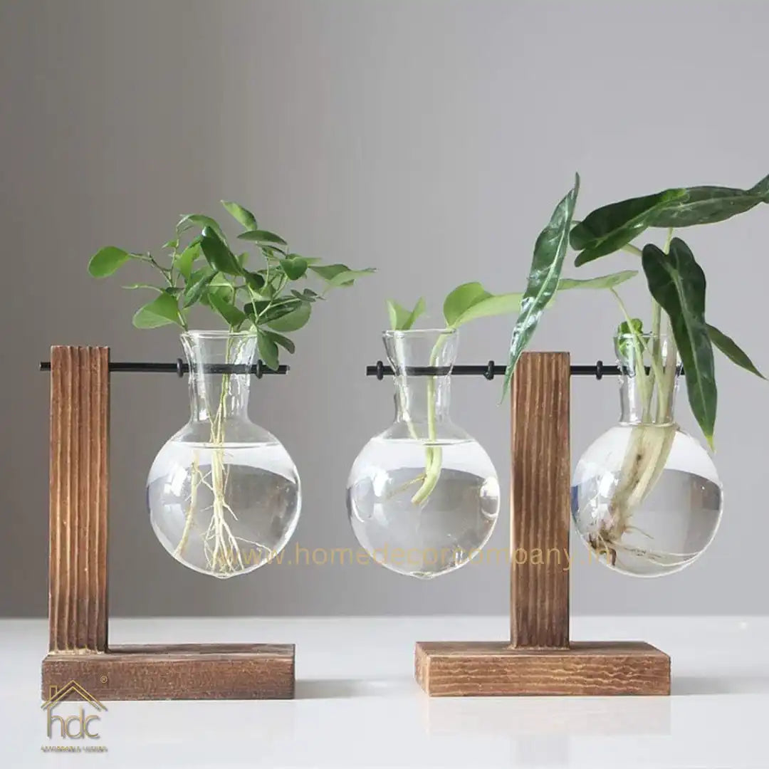 HDC Indoor Propagation Station Wooden Stand With 2 Bulb-Shaped Glass Vases Test Tube (Style 2)