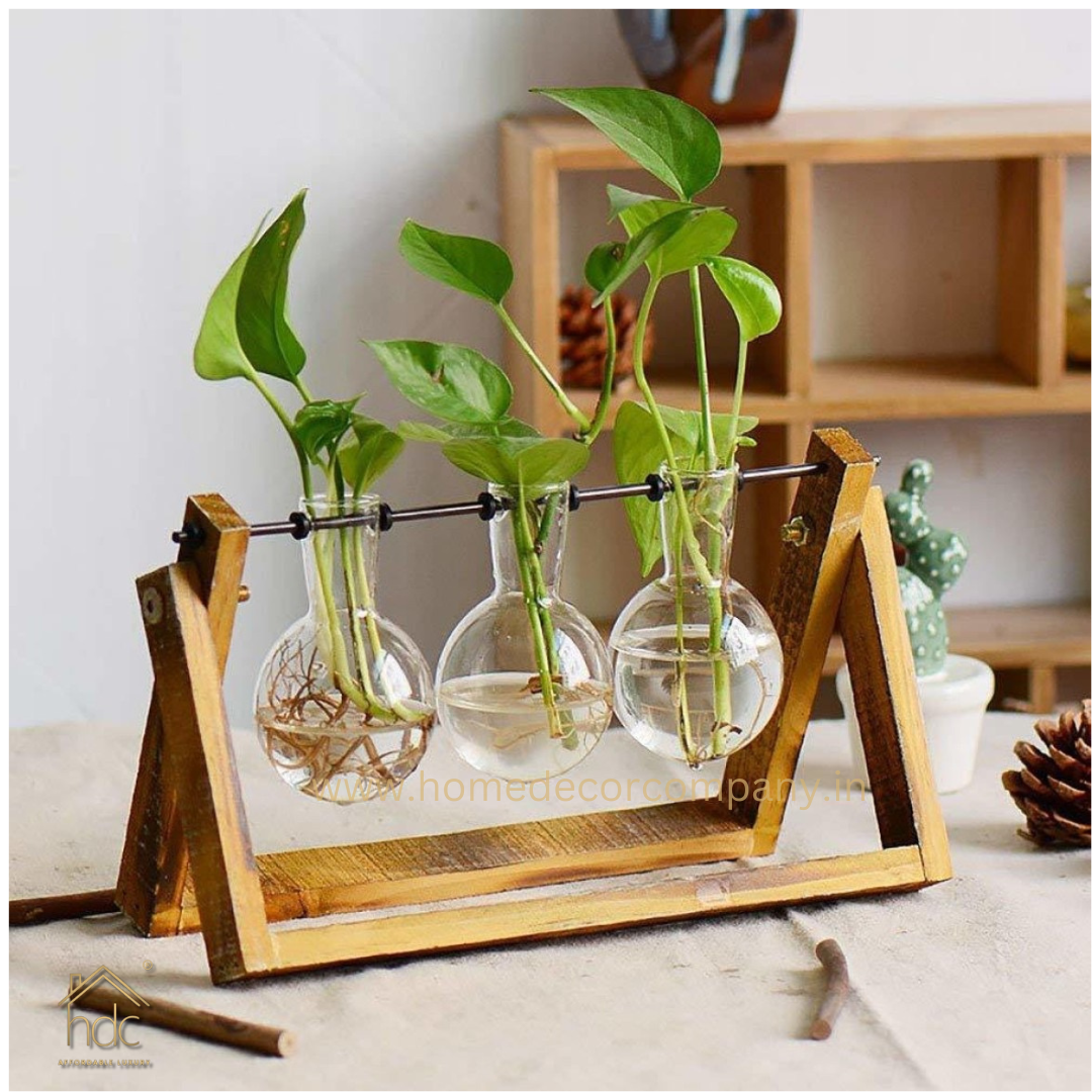 HDC Indoor Propagation Station Wooden Stand With 3 Bulb-Shaped Glass Vases Test Tube (Style 3)