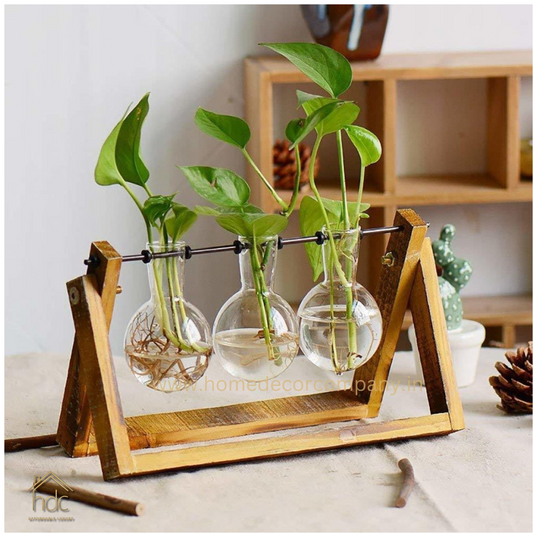 HDC Indoor Propagation Station Wooden Stand With 3 Bulb-Shaped Glass Vases Test Tube (Style 3)