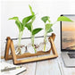 HDC Indoor Propagation Station Wooden Stand With 3 Bulb-Shaped Glass Vases Test Tube (Style 3)