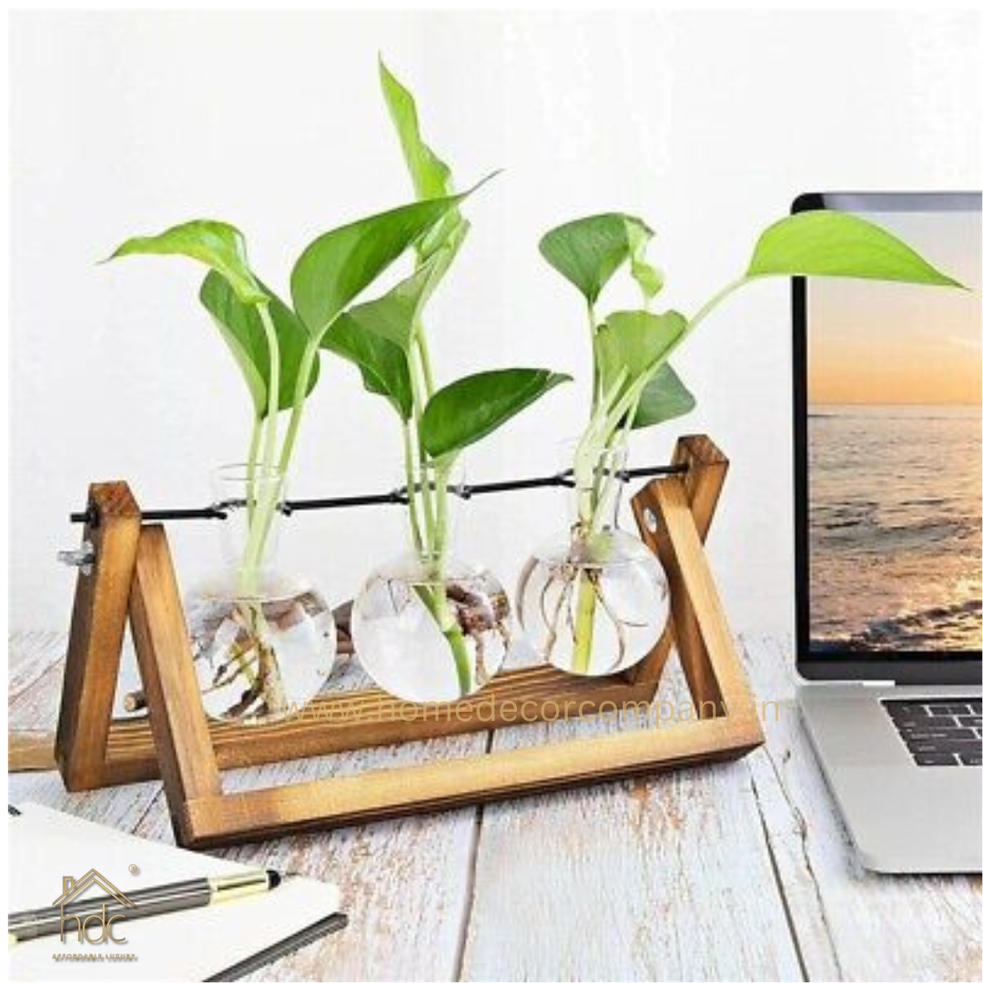 HDC Indoor Propagation Station Wooden Stand With 3 Bulb-Shaped Glass Vases Test Tube (Style 3)