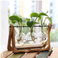 HDC Indoor Propagation Station Wooden Stand With 3 Bulb-Shaped Glass Vases Test Tube (Style 3)