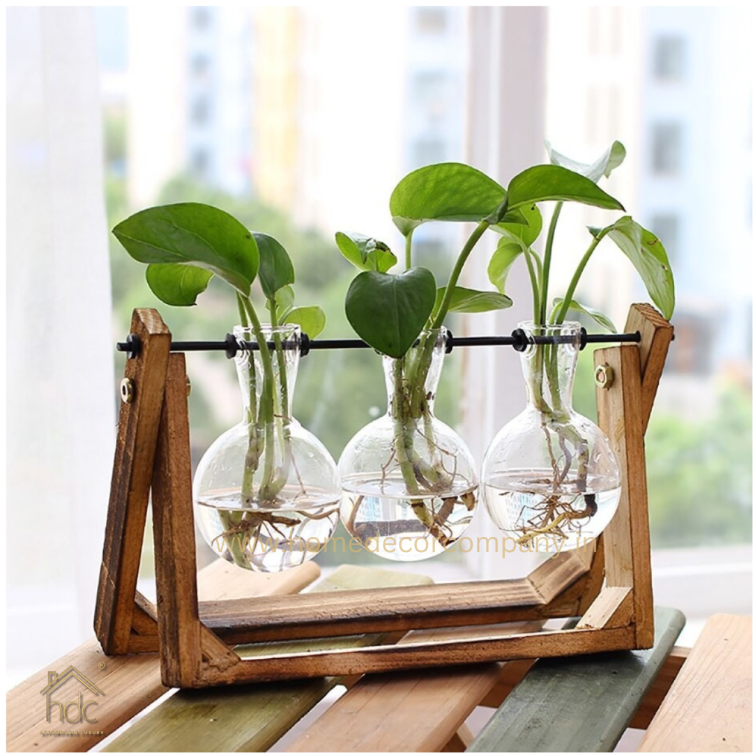 HDC Indoor Propagation Station Wooden Stand With 3 Bulb-Shaped Glass Vases Test Tube (Style 3)