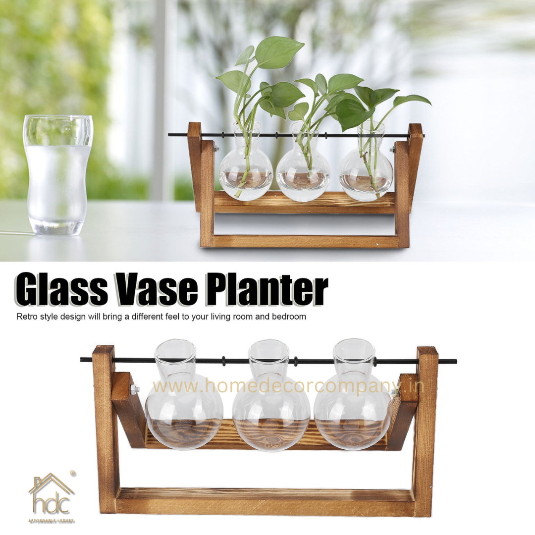 HDC Indoor Propagation Station Wooden Stand With 3 Bulb-Shaped Glass Vases Test Tube (Style 3)