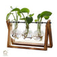 HDC Indoor Propagation Station Wooden Stand With 3 Bulb-Shaped Glass Vases Test Tube (Style 3)