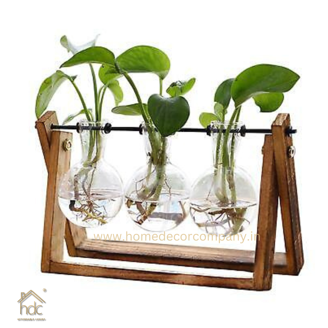 HDC Indoor Propagation Station Wooden Stand With 3 Bulb-Shaped Glass Vases Test Tube (Style 3)