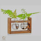 HDC Indoor Propagation Station Wooden Stand With 1 Bulb-Shaped Glass Vases Test Tube (Style 2)