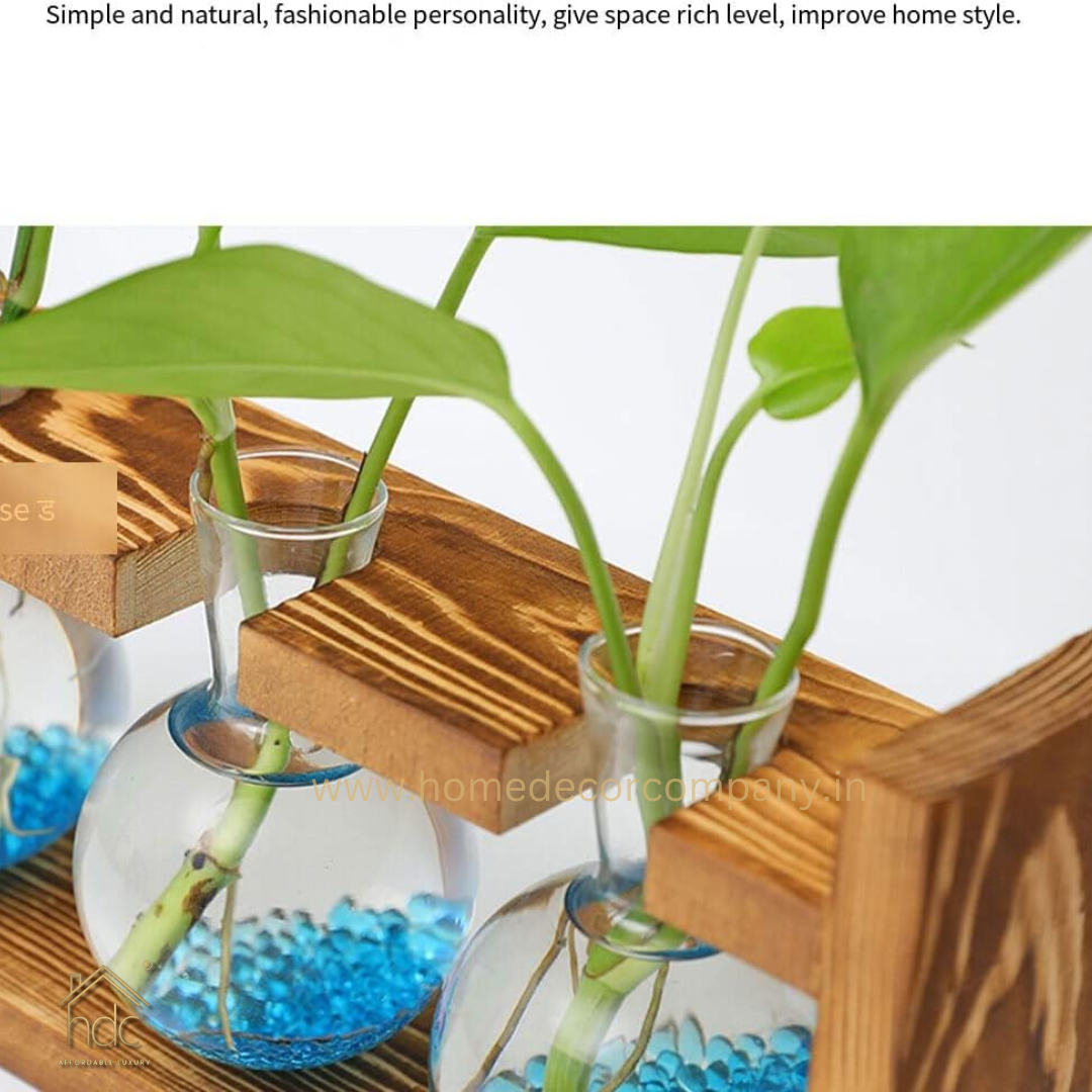 HDC Indoor Propagation Station Wooden Stand With 1 Bulb-Shaped Glass Vases Test Tube (Style 2)
