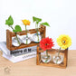 HDC Indoor Propagation Station Wooden Stand With 1 Bulb-Shaped Glass Vases Test Tube (Style 2)