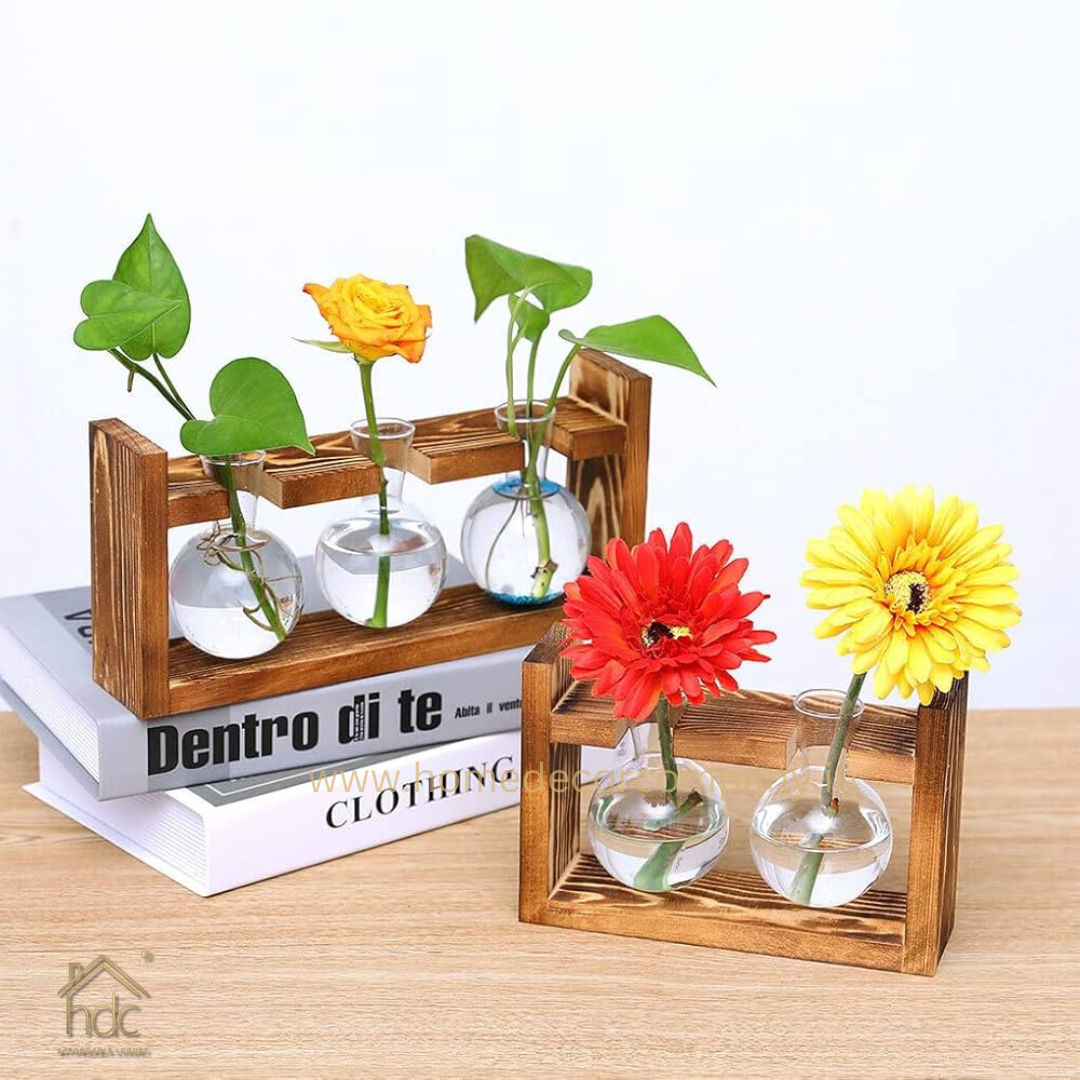HDC Indoor Propagation Station Wooden Stand With 1 Bulb-Shaped Glass Vases Test Tube (Style 2)