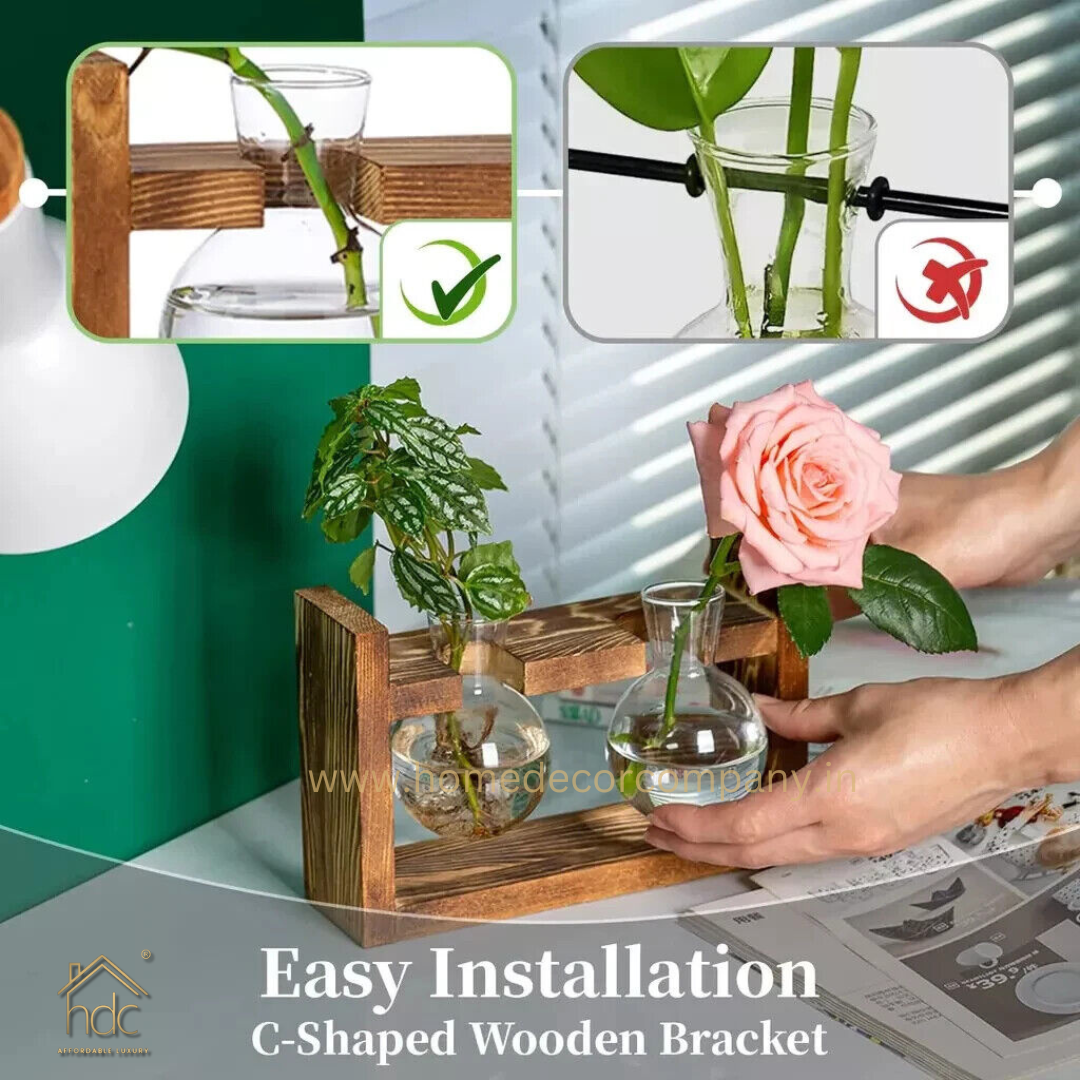 HDC Indoor Propagation Station Wooden Stand With 1 Bulb-Shaped Glass Vases Test Tube (Style 1)