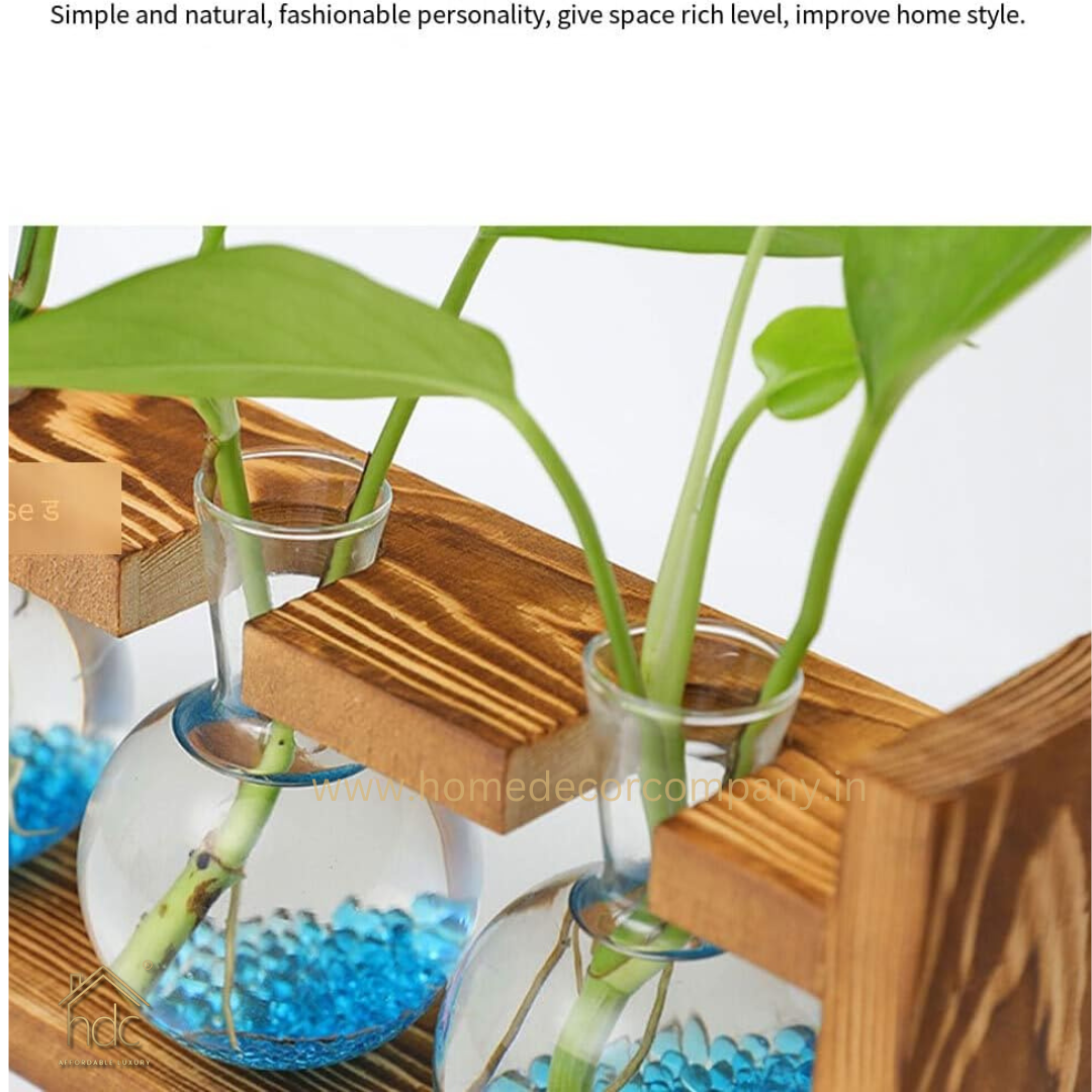 HDC Indoor Propagation Station Wooden Stand With 1 Bulb-Shaped Glass Vases Test Tube (Style 1)