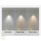HDC Creative Geometric Line Star Led Pendant Lamp With Led Spotlight Cone Round Gold Black Lighting