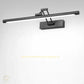 HDC 17W Modern Electroplated Brass Black Body LED Wall Light Mirror Vanity Picture Lamp - Warm White