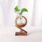 HDC New Design Modern Wooden Hydroponic Planter Vase Office Table Decoration Glass Vase With Wooden Frame