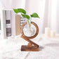 HDC New Design Modern Wooden Hydroponic Planter Vase Office Table Decoration Glass Vase With Wooden Frame