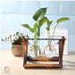 HDC Indoor Propagation Station Wooden Stand With 2 Bulb-Shaped Glass Vases Test Tube (Style 2)
