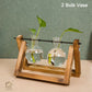 HDC Indoor Propagation Station Wooden Stand With 2 Bulb-Shaped Glass Vases Test Tube (Style 2)