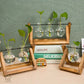 HDC Indoor Propagation Station Wooden Stand With 2 Bulb-Shaped Glass Vases Test Tube (Style 2)