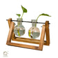 HDC Indoor Propagation Station Wooden Stand With 2 Bulb-Shaped Glass Vases Test Tube (Style 2)