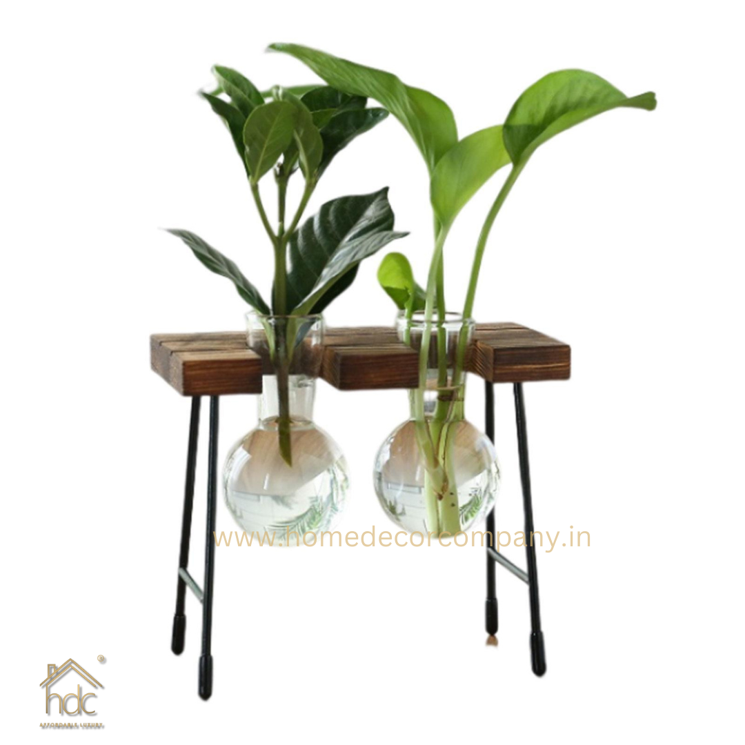 HDC Indoor Propagation Station Wooden Stand With 2 Bulb-Shaped Glass Vases Test Tube (Style 2)