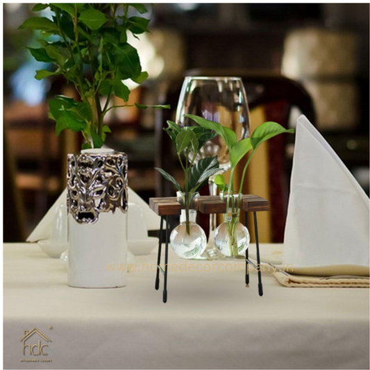 HDC Indoor Propagation Station Wooden Stand With 2 Bulb-Shaped Glass Vases Test Tube (Style 2)