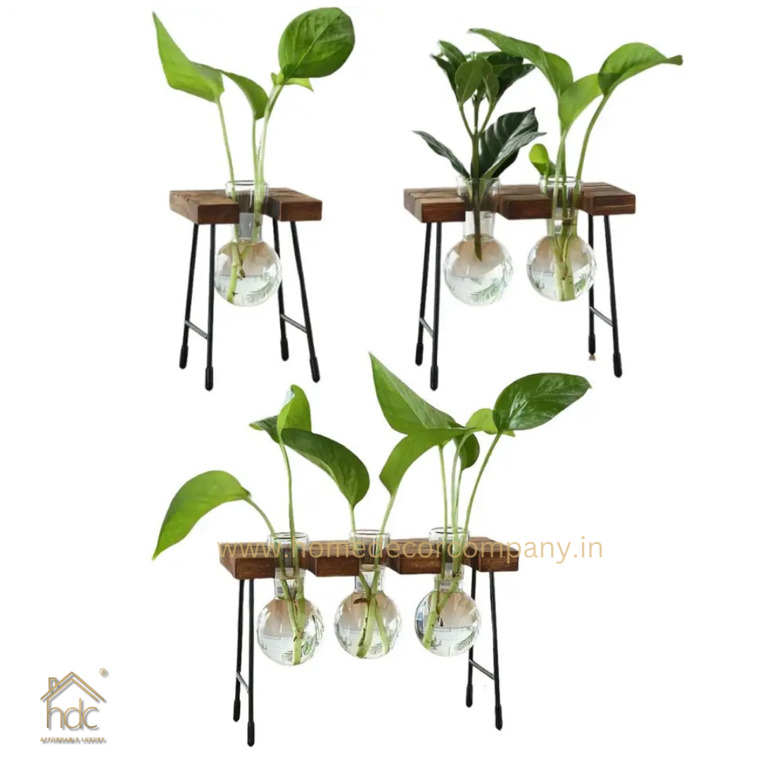 HDC Indoor Propagation Station Wooden Stand With 2 Bulb-Shaped Glass Vases Test Tube (Style 2)