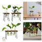 HDC Indoor Propagation Station Wooden Stand With 1 Bulb-Shaped Glass Vases Test Tube (Style 1)