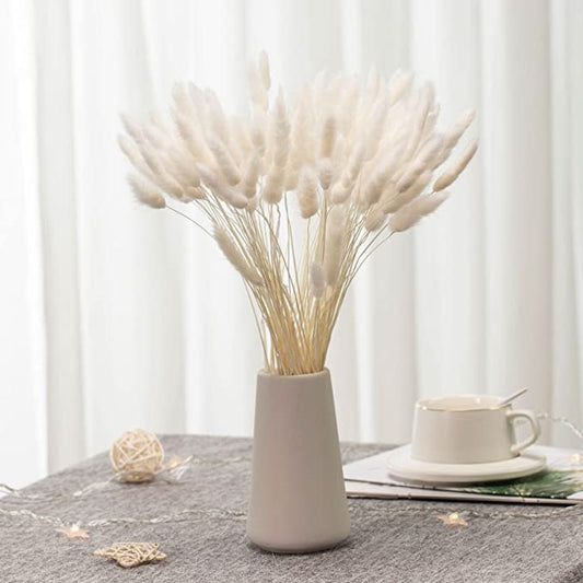 Bunch of Natural Bunny Tails grass (25 pcs) - HDC.IN